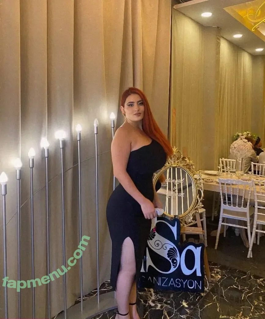 Zehra Aslan nude photo #0083 (_zehraasln)