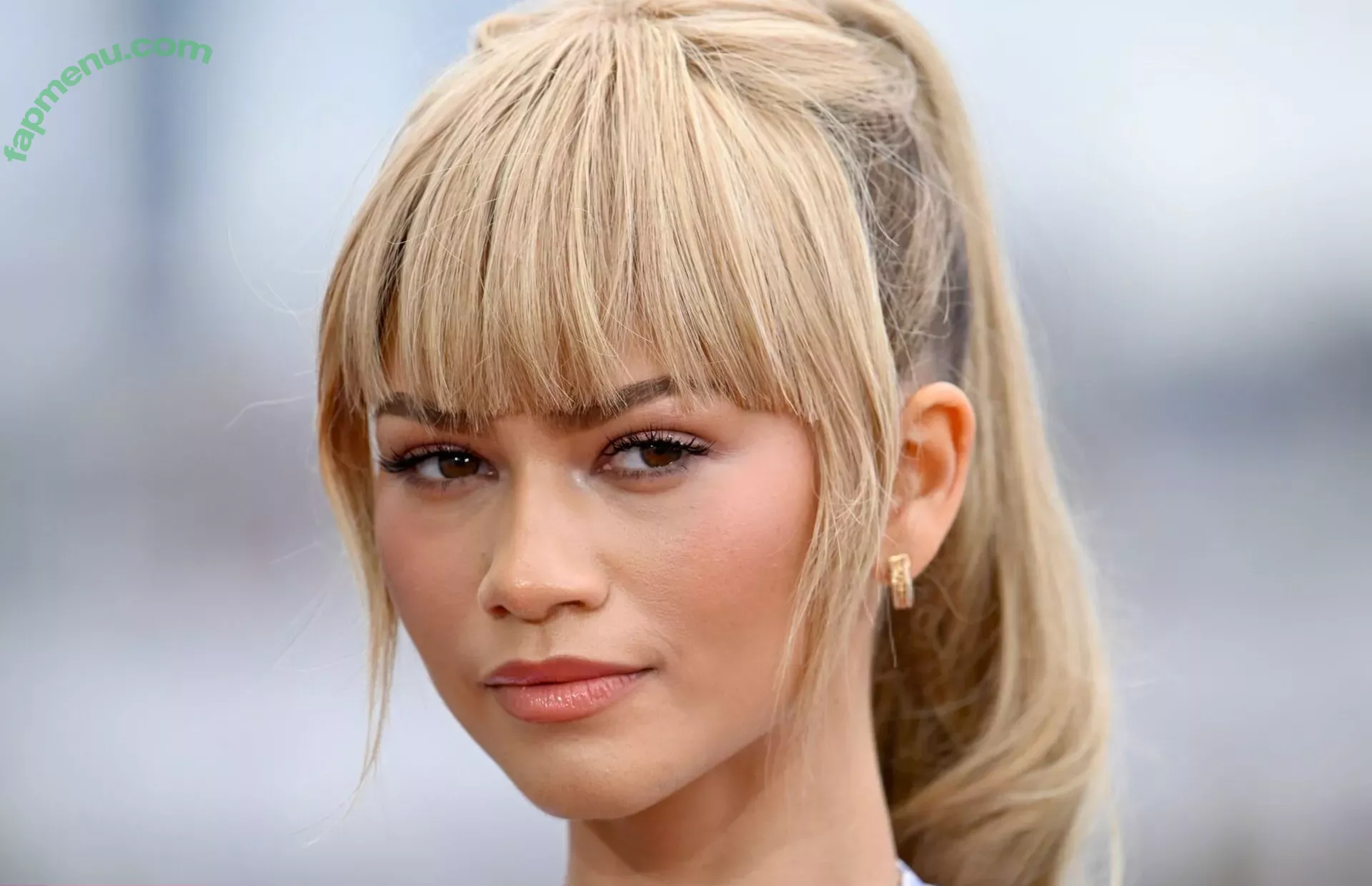 Zendaya nude photo #1864 (linda.voilet)