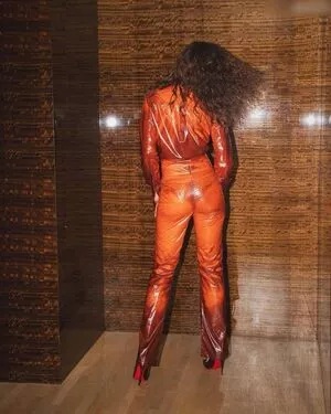 Zendaya / linda.voilet nude photo #2478