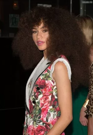 Zendaya / linda.voilet nude photo #2556