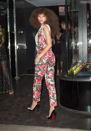 Zendaya / linda.voilet nude photo #2565