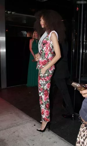 Zendaya / linda.voilet nude photo #2569