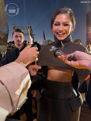 Zendaya / linda.voilet nude photo #2768