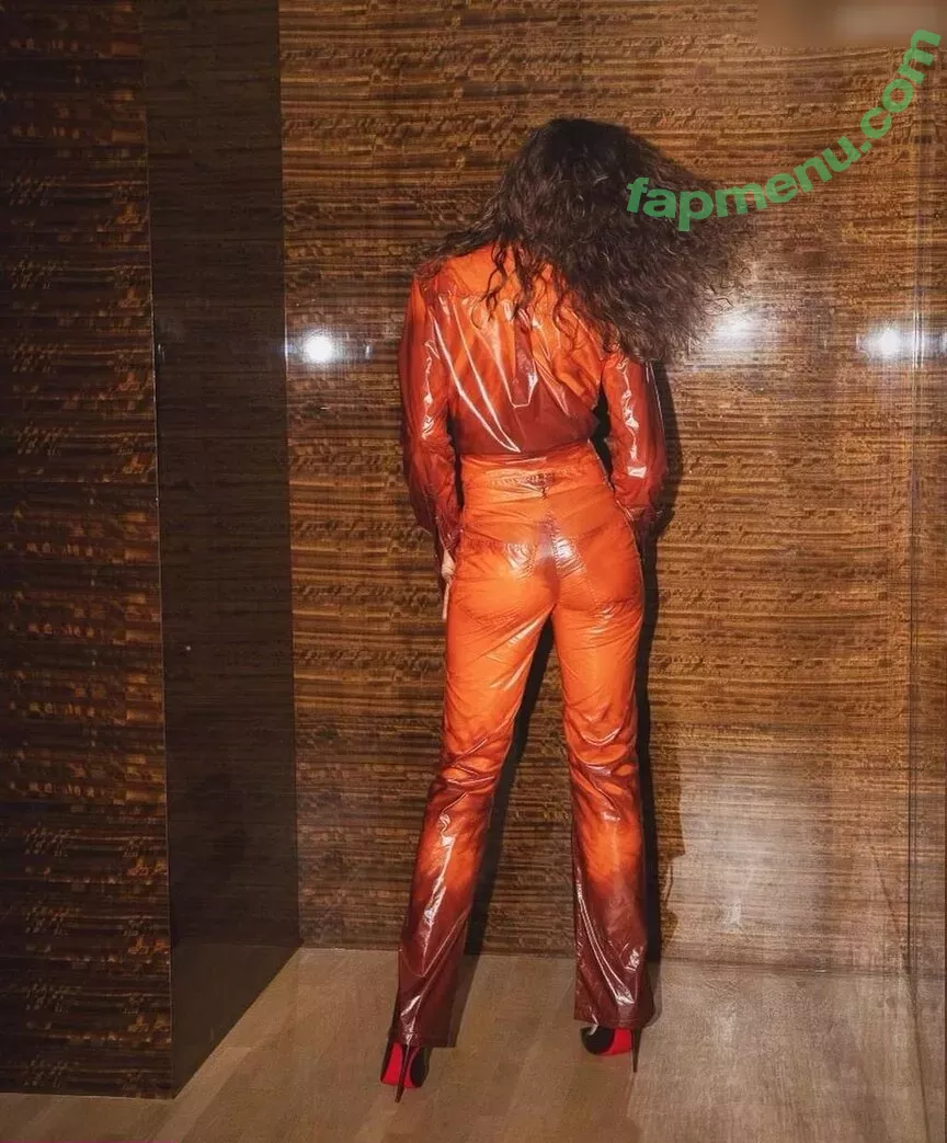 Zendaya nude photo #2478 (linda.voilet)