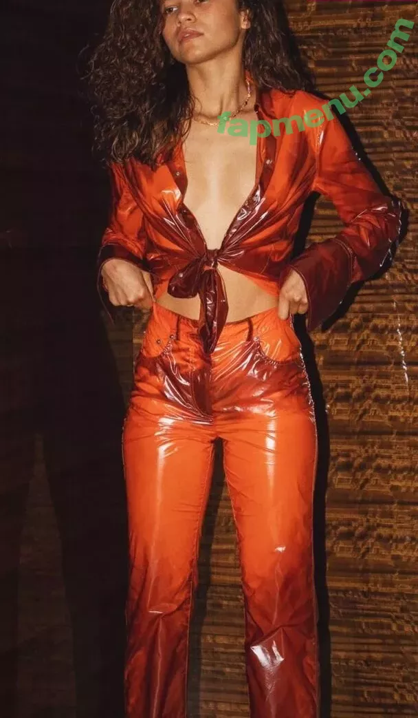 Zendaya nude photo #2479 (linda.voilet)