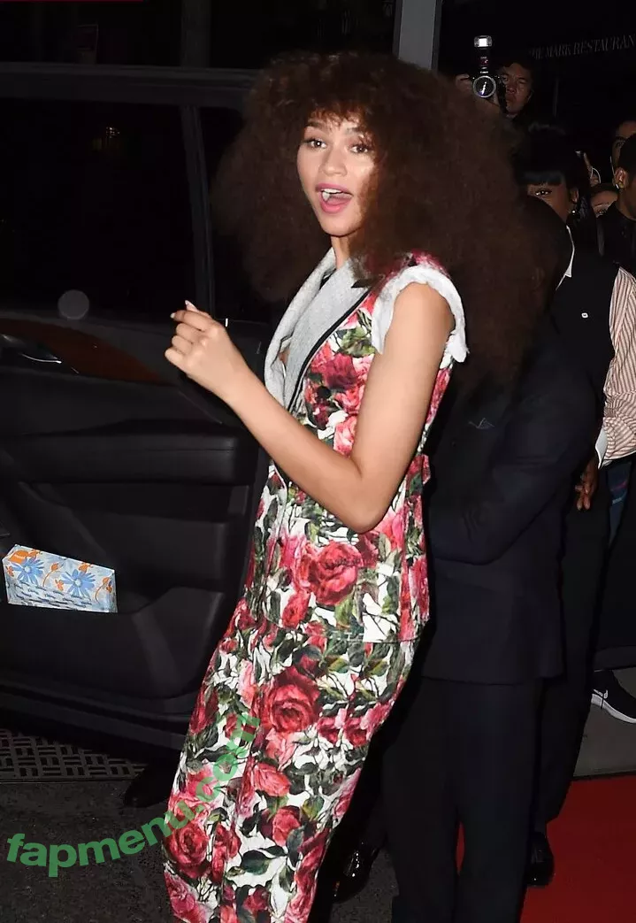 Zendaya nude photo #2572 (linda.voilet)