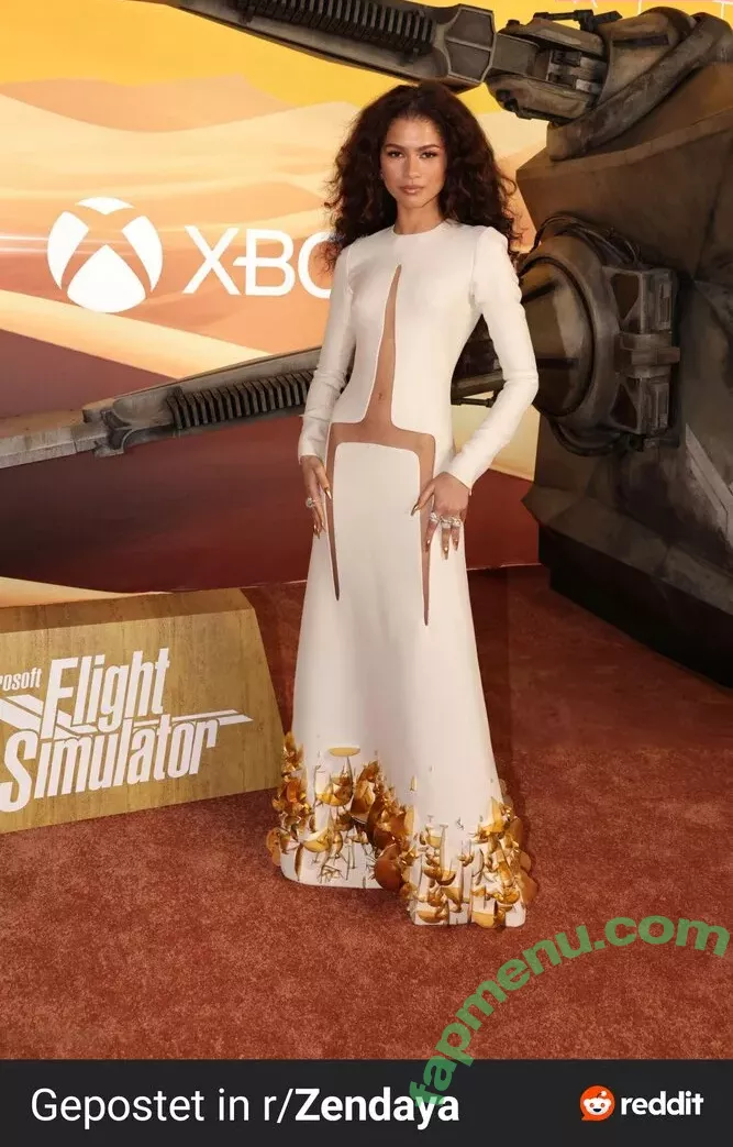 Zendaya nude photo #2795 (linda.voilet)