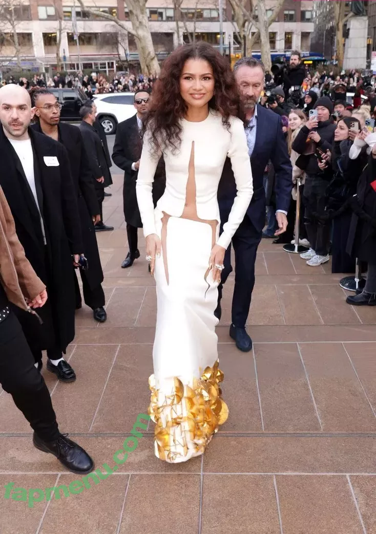 Zendaya nude photo #2801 (linda.voilet)