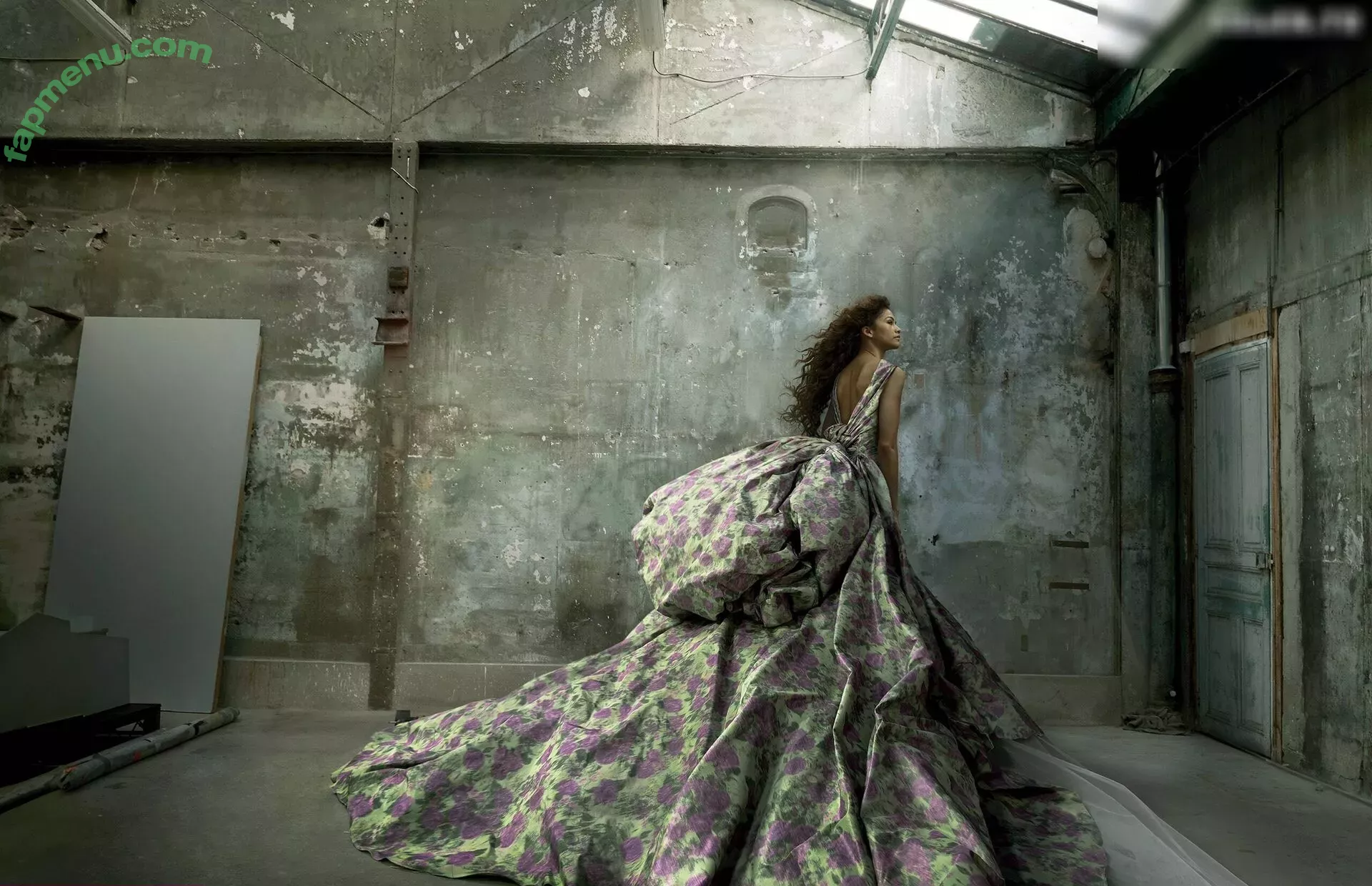 Zendaya nude photo #2878 (linda.voilet)