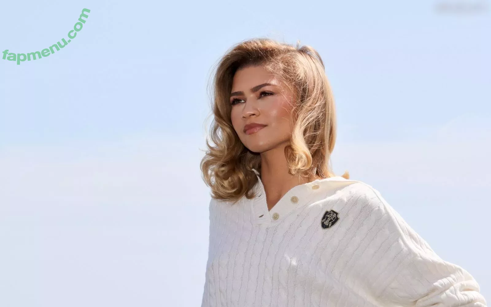 Zendaya nude photo #2909 (linda.voilet)