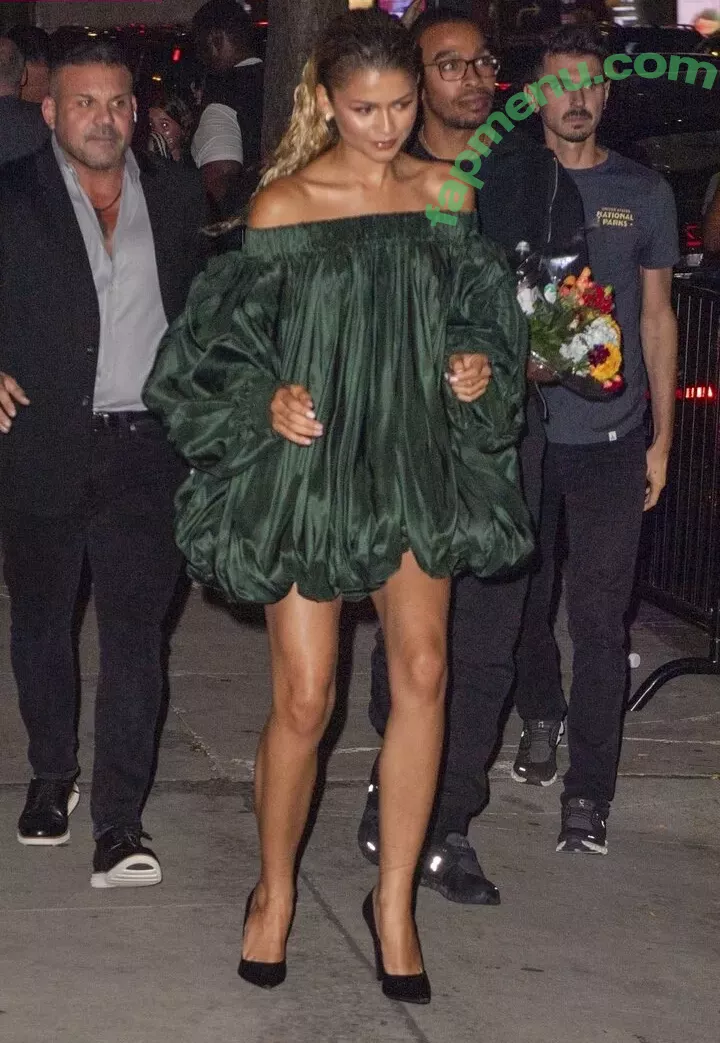 Zendaya nude photo #3297 (linda.voilet)