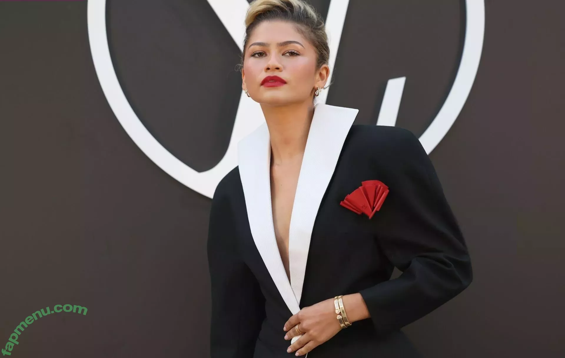 Zendaya nude photo #3314 (linda.voilet)