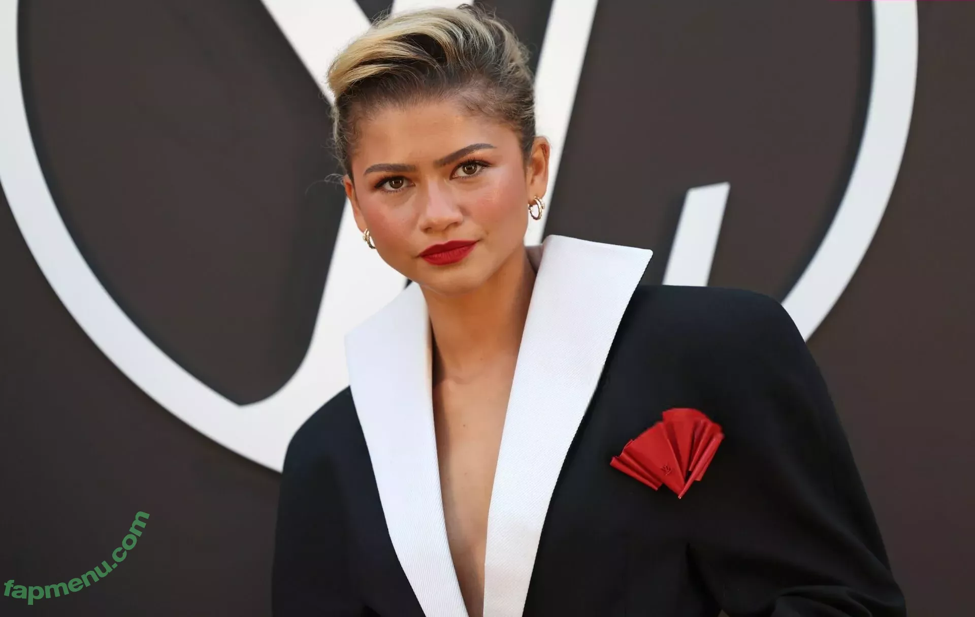 Zendaya nude photo #3315 (linda.voilet)