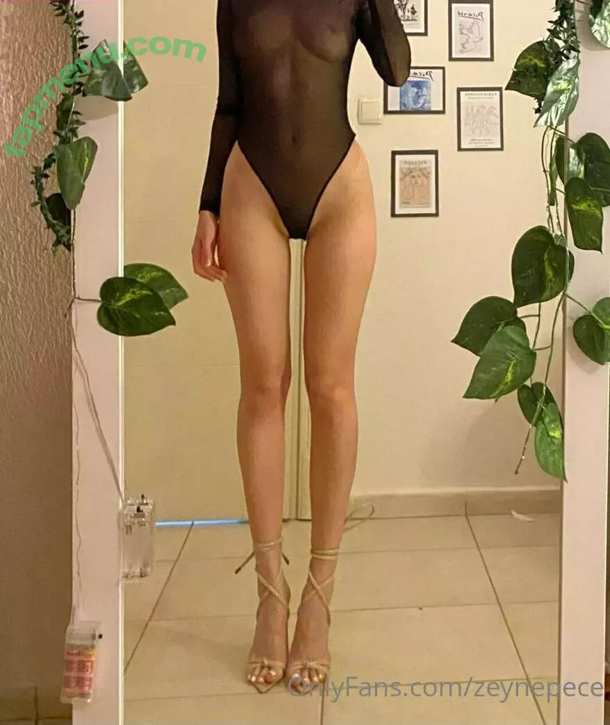 zeynepece nude photo #0072 (zeeynepece)