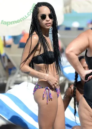 Zoë Kravitz / zoeisabellakravitz nude photo #0020