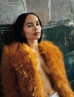 Zoe Kravitz / zoeisabellakravitz nude photo #0010