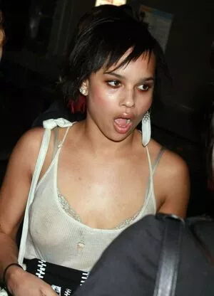 Zoe Kravitz / zoeisabellakravitz nude photo #0068