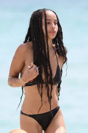 Zoe Kravitz / zoeisabellakravitz nude photo #0073