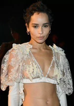 Zoe Kravitz / zoeisabellakravitz nude photo #0090