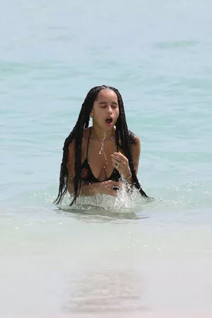 Zoe Kravitz / zoeisabellakravitz nude photo #0095