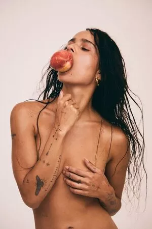 Zoe Kravitz / zoeisabellakravitz nude photo #0117