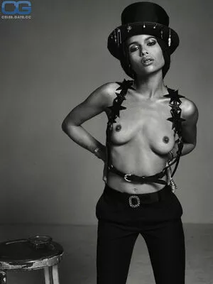 Zoe Kravitz / zoeisabellakravitz nude photo #0128