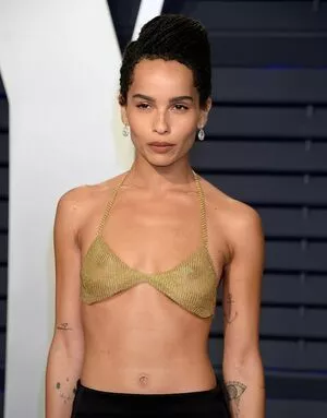 Zoe Kravitz / zoeisabellakravitz nude photo #0283