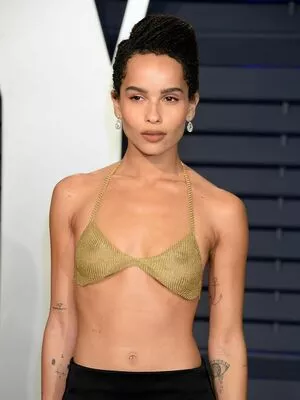 Zoe Kravitz / zoeisabellakravitz nude photo #0293