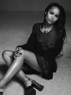 Zoe Kravitz / zoeisabellakravitz nude photo #0353