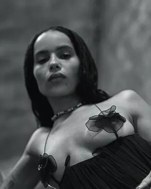 Zoe Kravitz / zoeisabellakravitz nude photo #0365