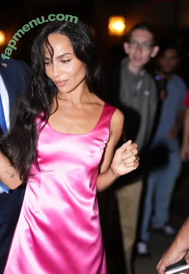 Zoe Kravitz nude photo #0488 (zoeisabellakravitz)