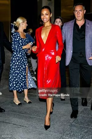 Zoe Saldana / zoesaldana nude photo #0623