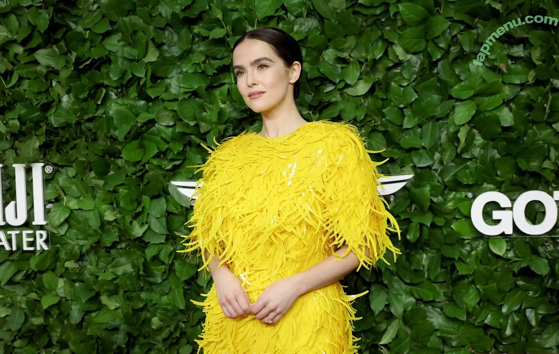 Zoey Deutch nude photo #0982 (zoeydeutch)