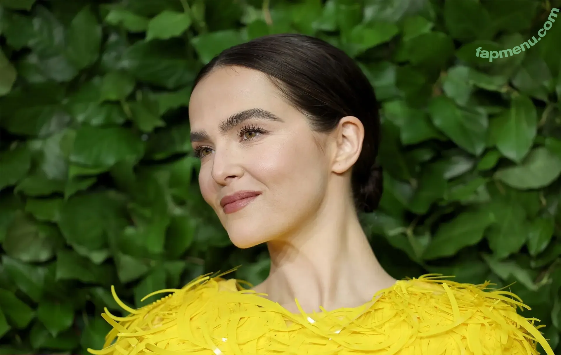 Zoey Deutch nude photo #0983 (zoeydeutch)