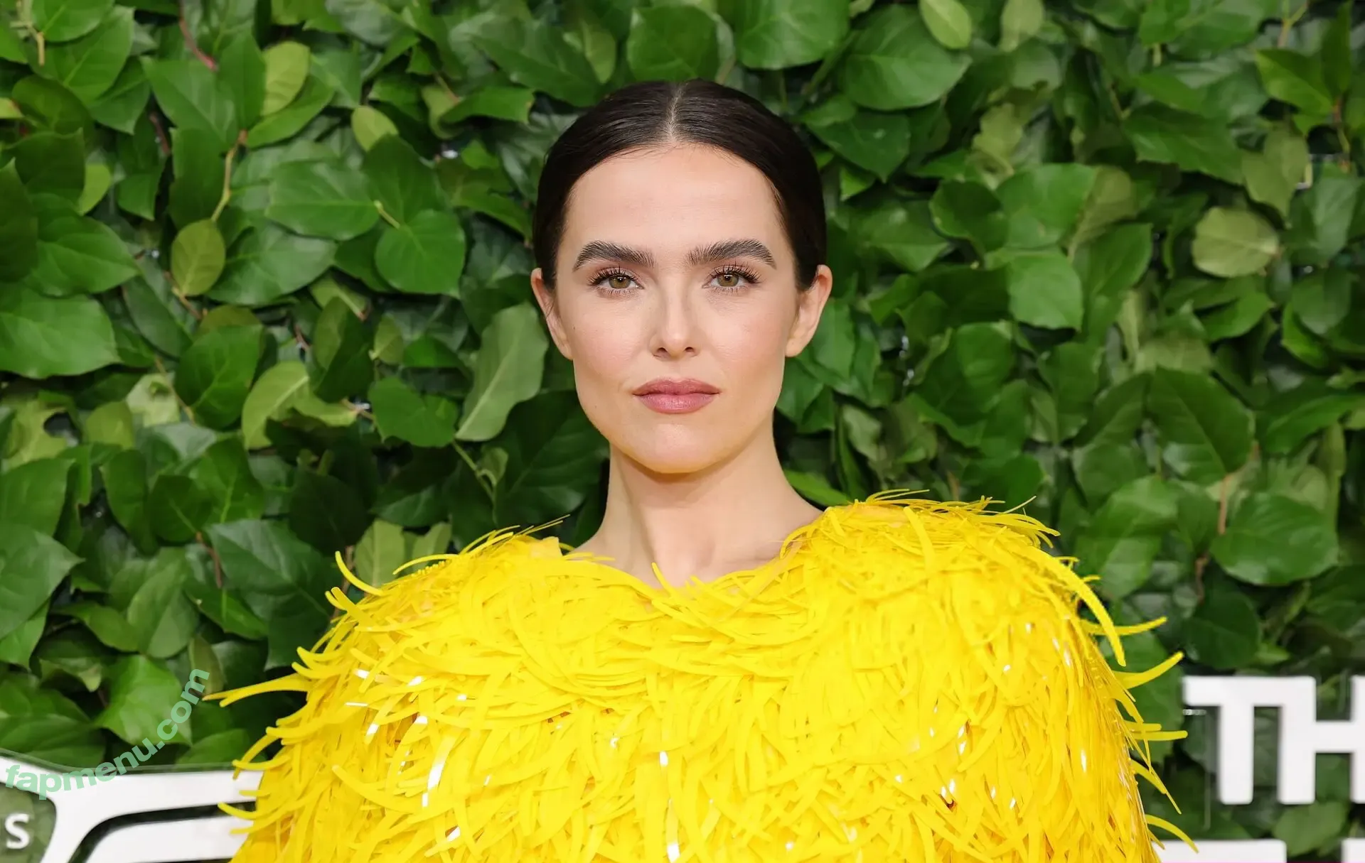 Zoey Deutch nude photo #0984 (zoeydeutch)