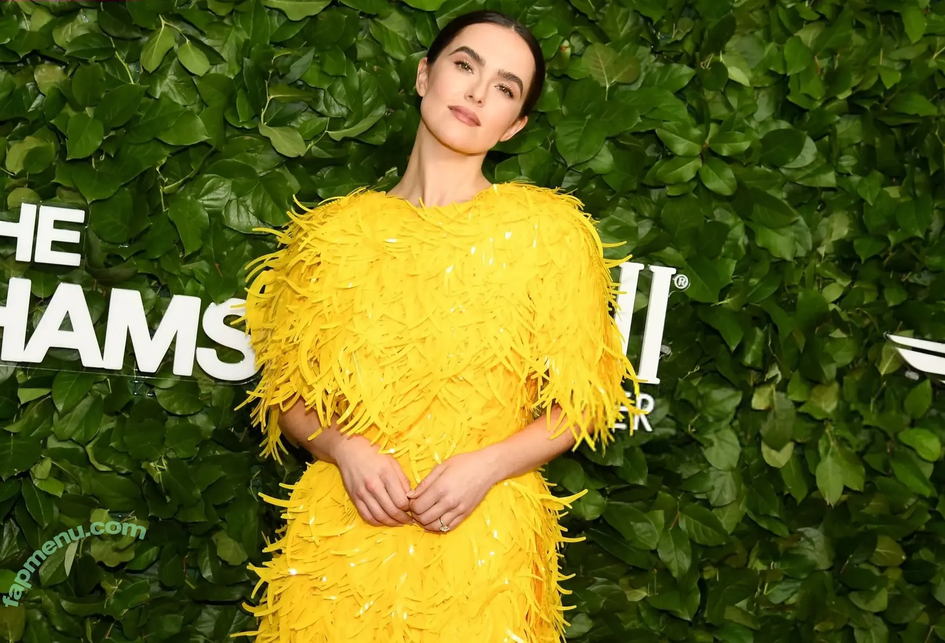 Zoey Deutch nude photo #0990 (zoeydeutch)