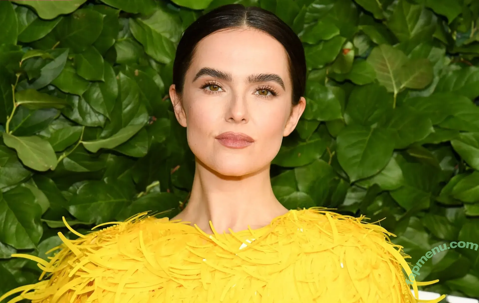 Zoey Deutch nude photo #0997 (zoeydeutch)