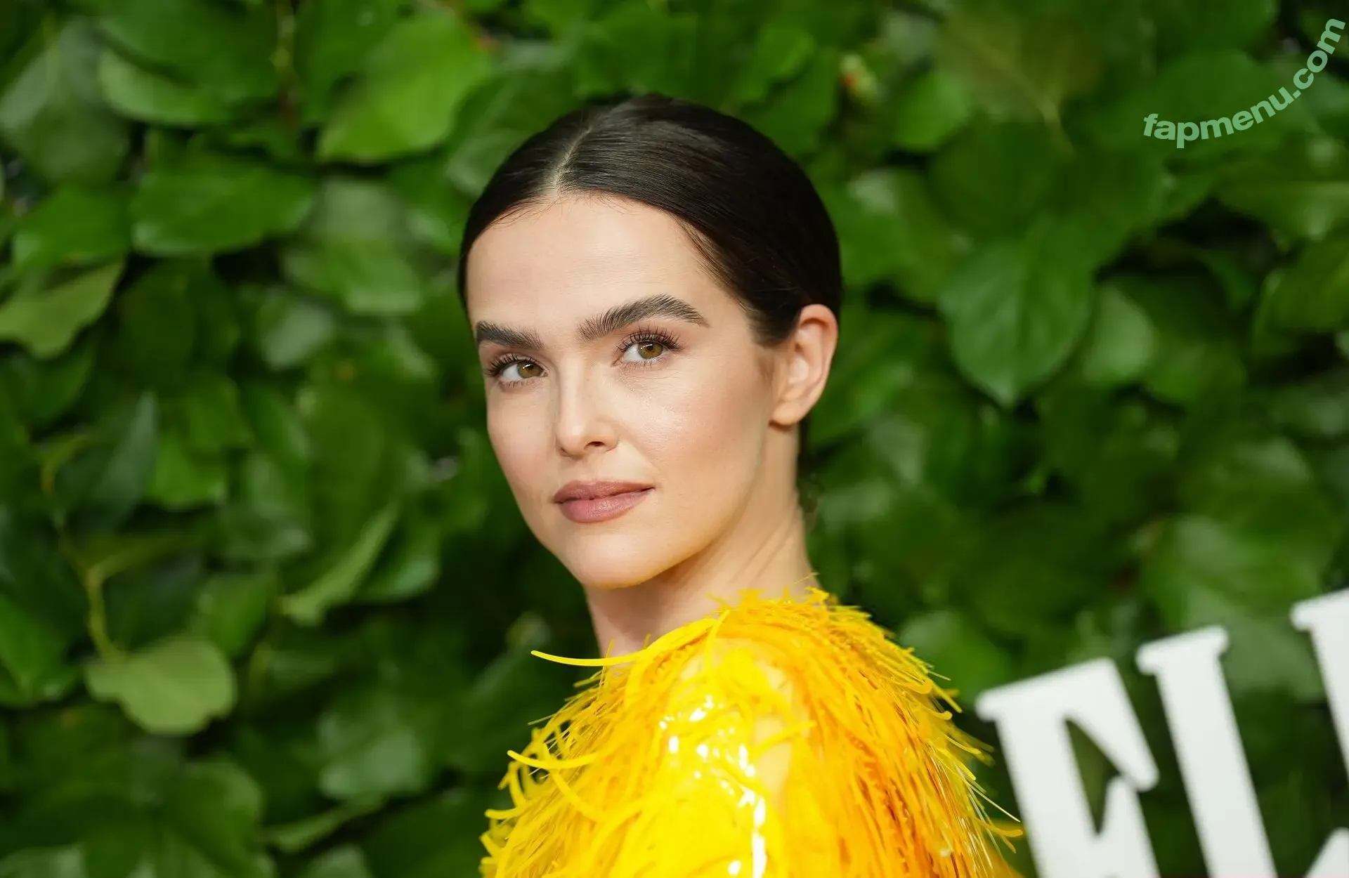 Zoey Deutch nude photo #1001 (zoeydeutch)