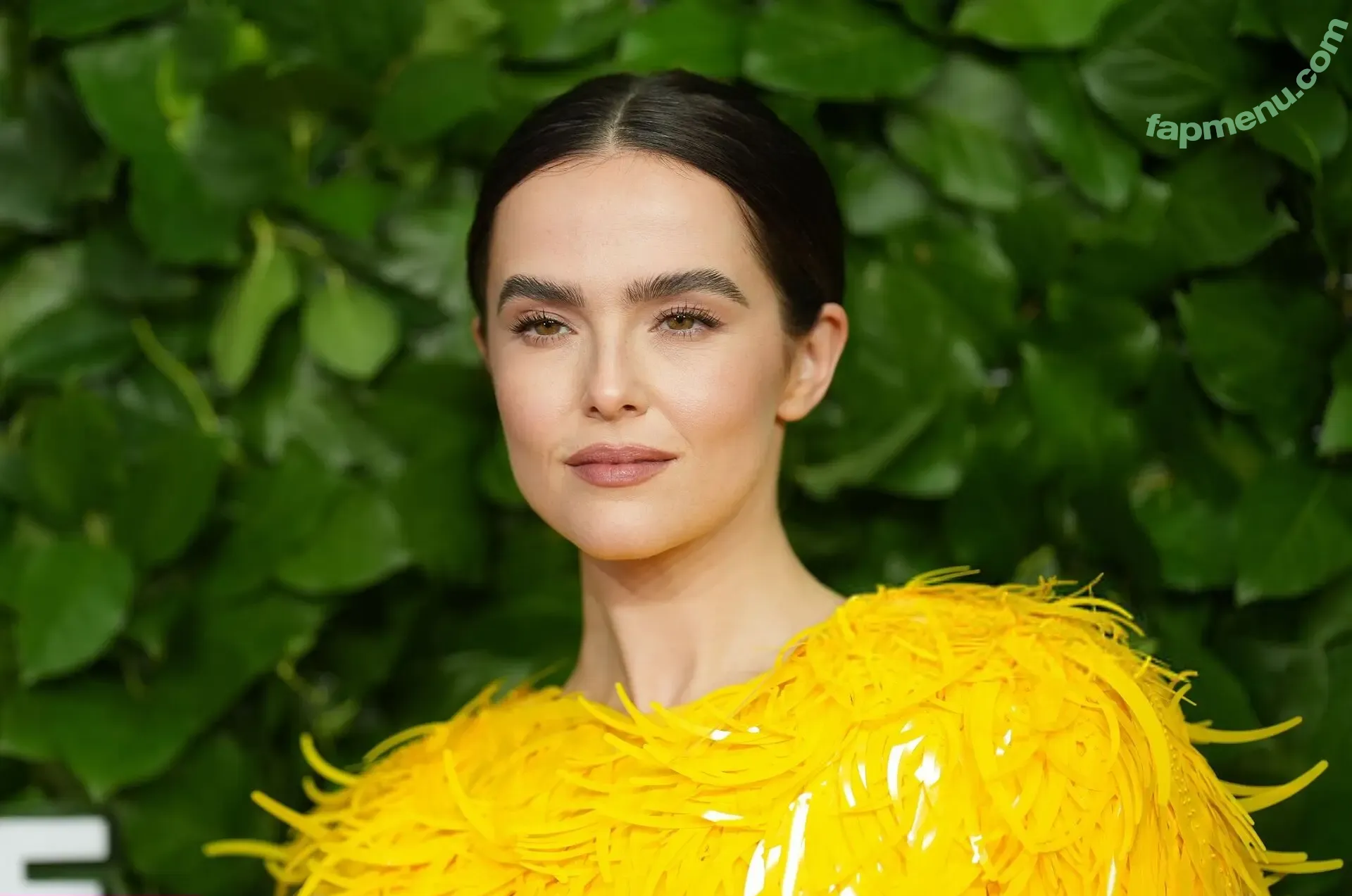 Zoey Deutch nude photo #1002 (zoeydeutch)